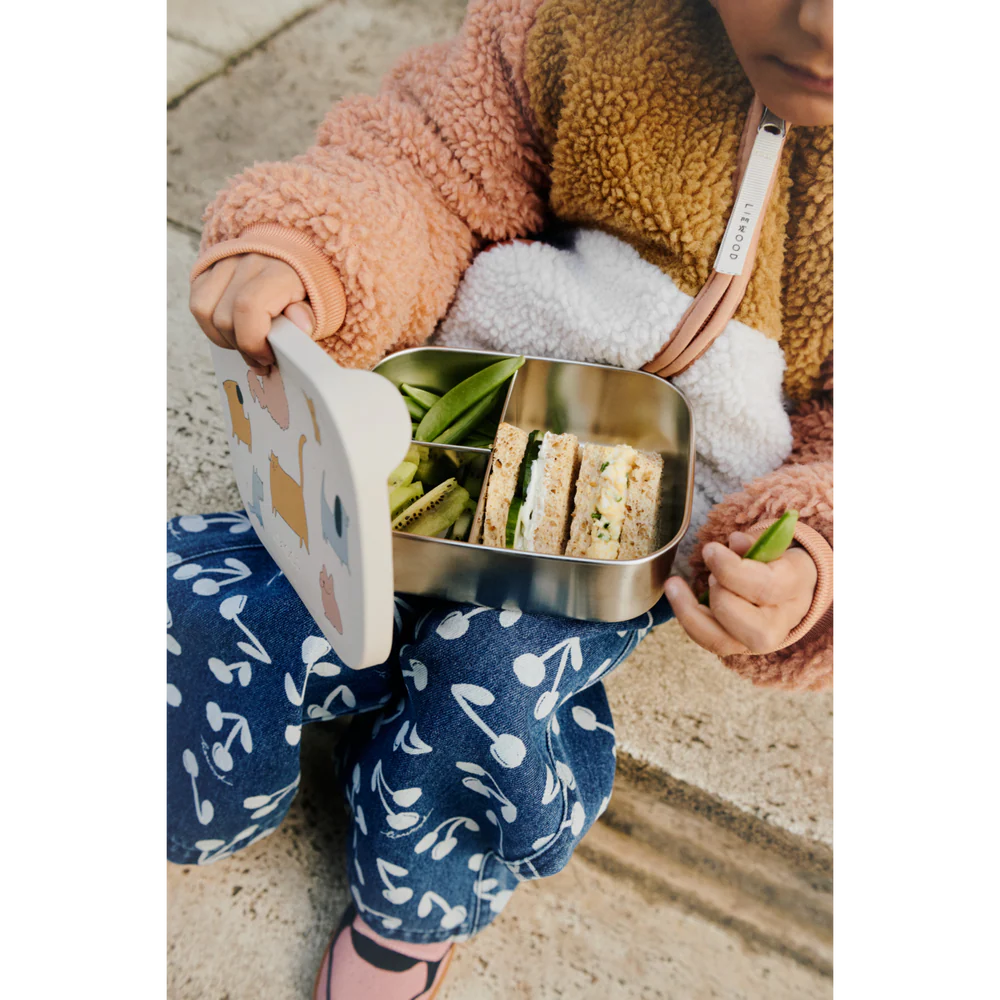 ARTHUR LUNCHBOX - CATS & DOGS, LIEWOOD