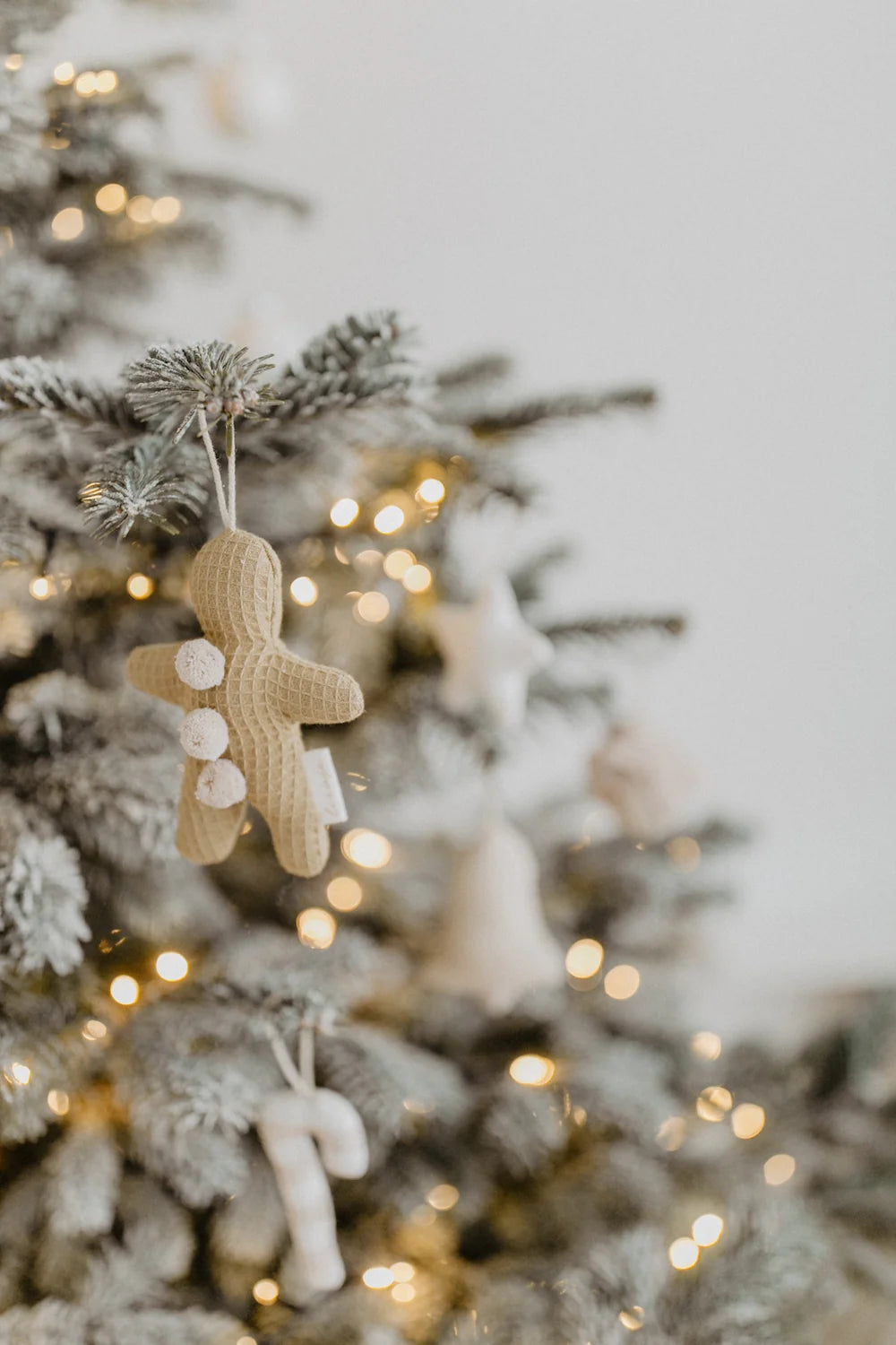 CHRISTMAS ORNAMENTS - ROSE, LEEVJE
